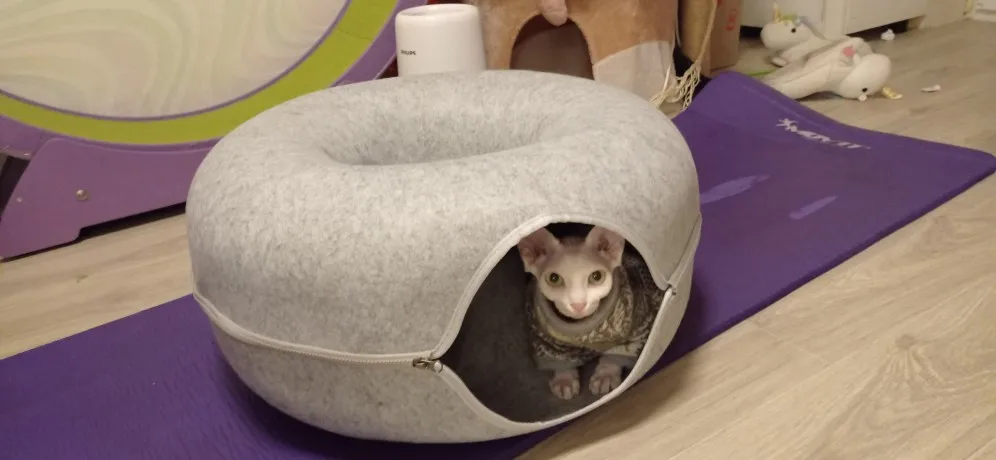 Peekaboo Cat Cave