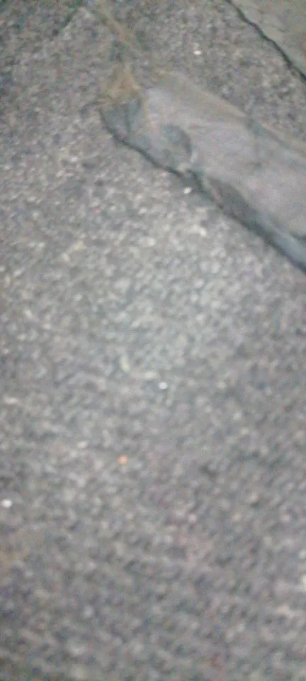 Soft Leather Crossbody Bags photo review