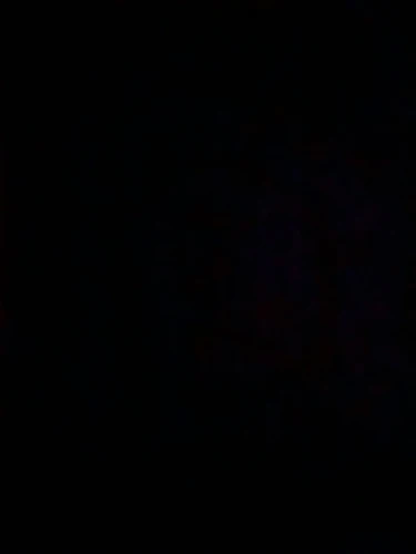 Processador Manual Triturador de Alimentos 3 Laminas 500 ml - Neverdie photo review