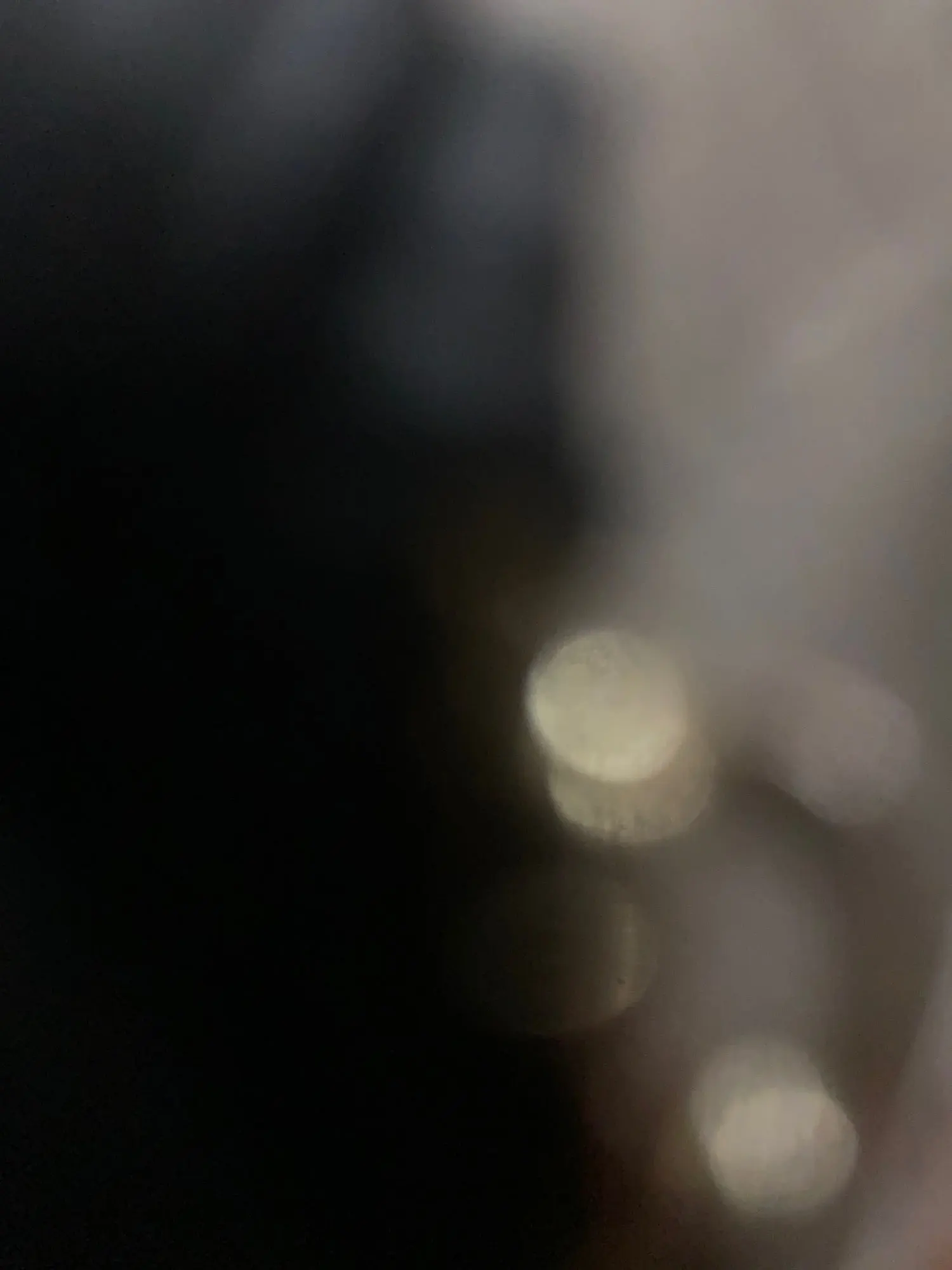 Willshela Women's Vintage Double Breasted Blazer photo review