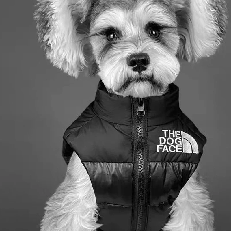 Coat Vest Warm Winter Dog Clothes Schnauzer Yorkie French Bulldog