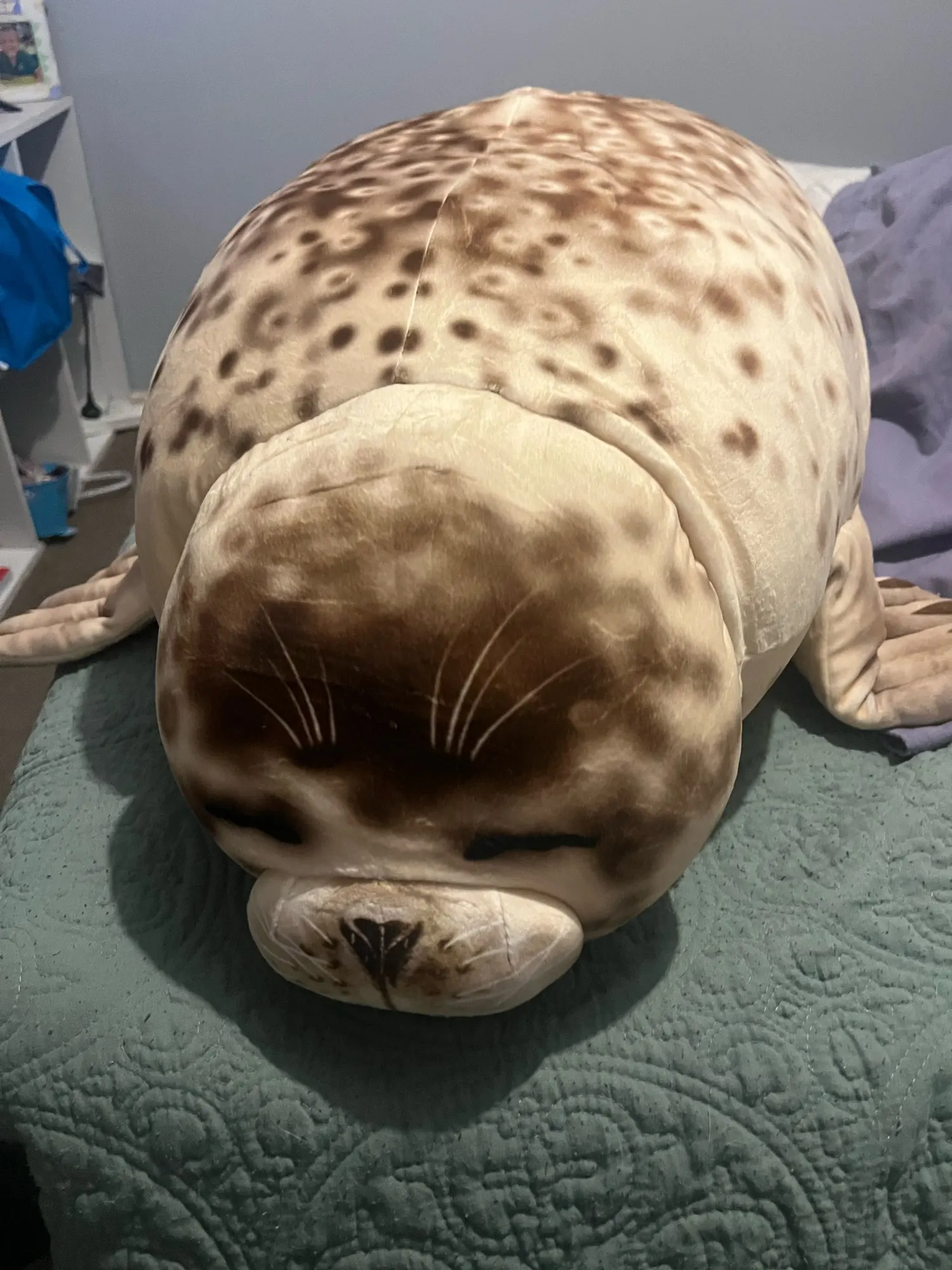 Foquinha Serena Fofeza® de Pelúcia