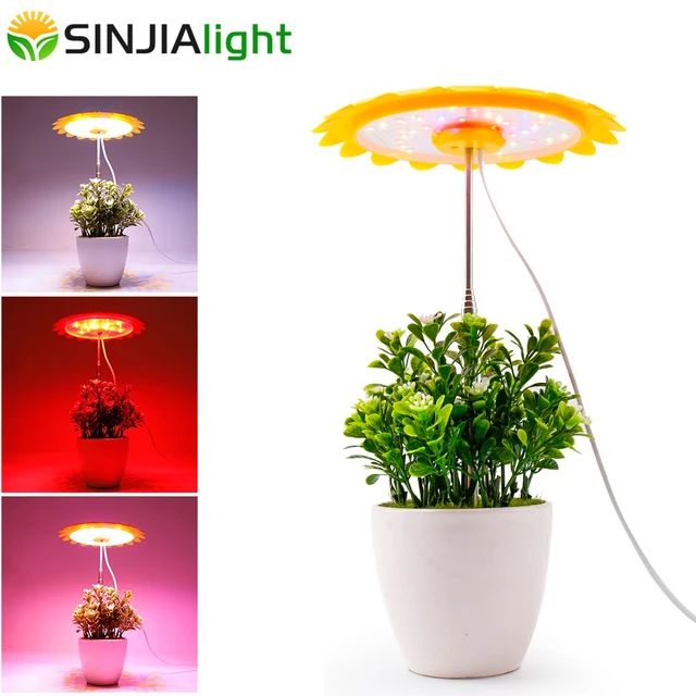 Lampe horticole de croissance LED USB, intensité variable, pour petite  plante, éclairage pour bonsaï, fleurs en pot et succulentes d'intérieur,  minuterie - AliExpress