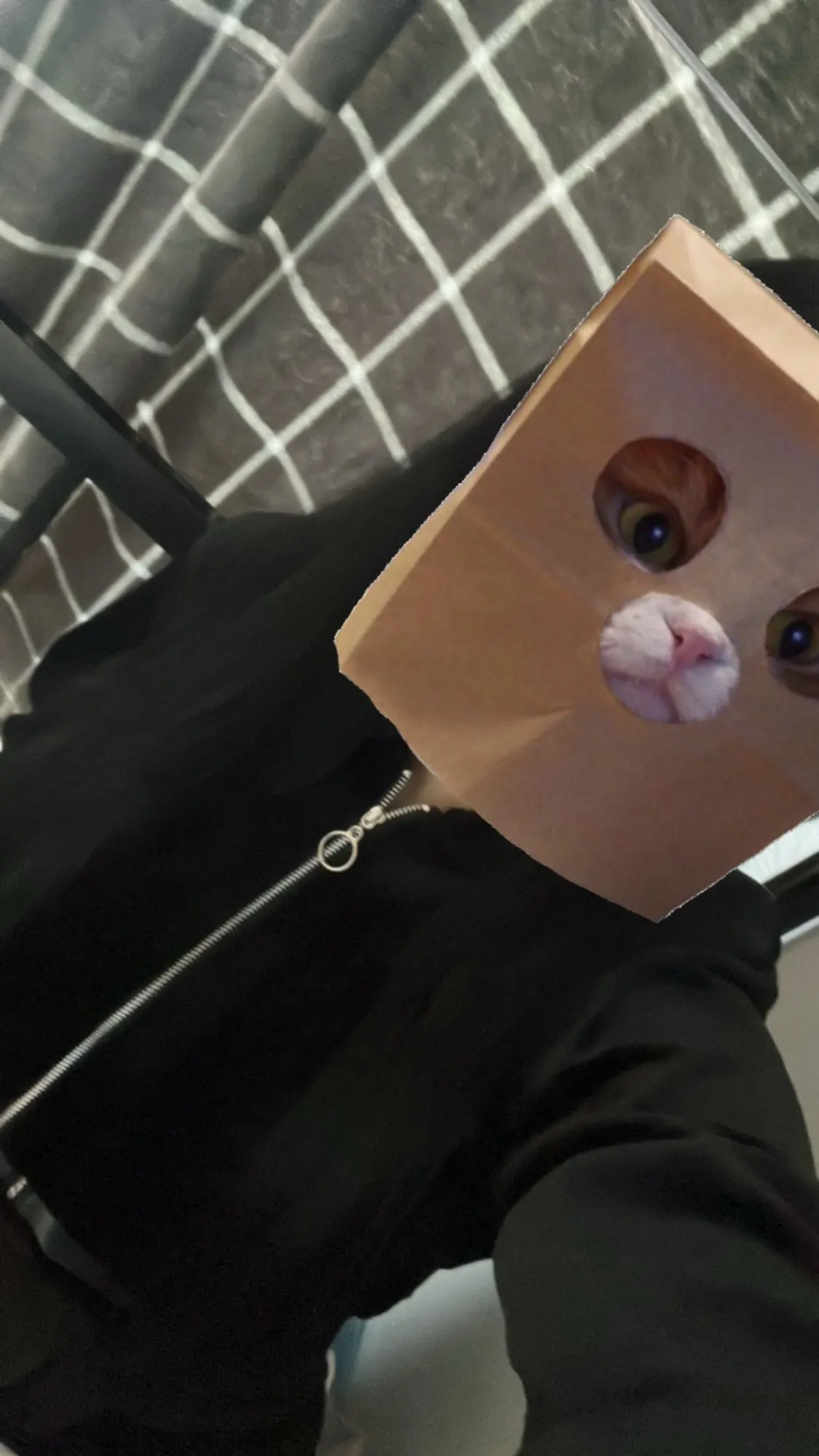 Lisix Synthetic Clip In Hair Extensions (5 Clips) photo review