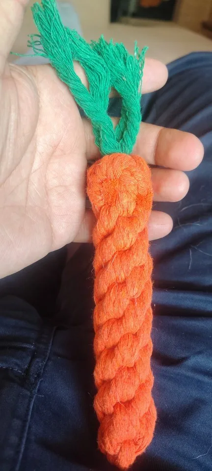 Carrot Rope Pet Toy photo review
