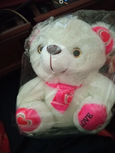 Cute Bear Plush Toy 20cm photo review