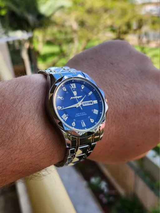 POEDAGAR Luxury Man Wristwatch photo review