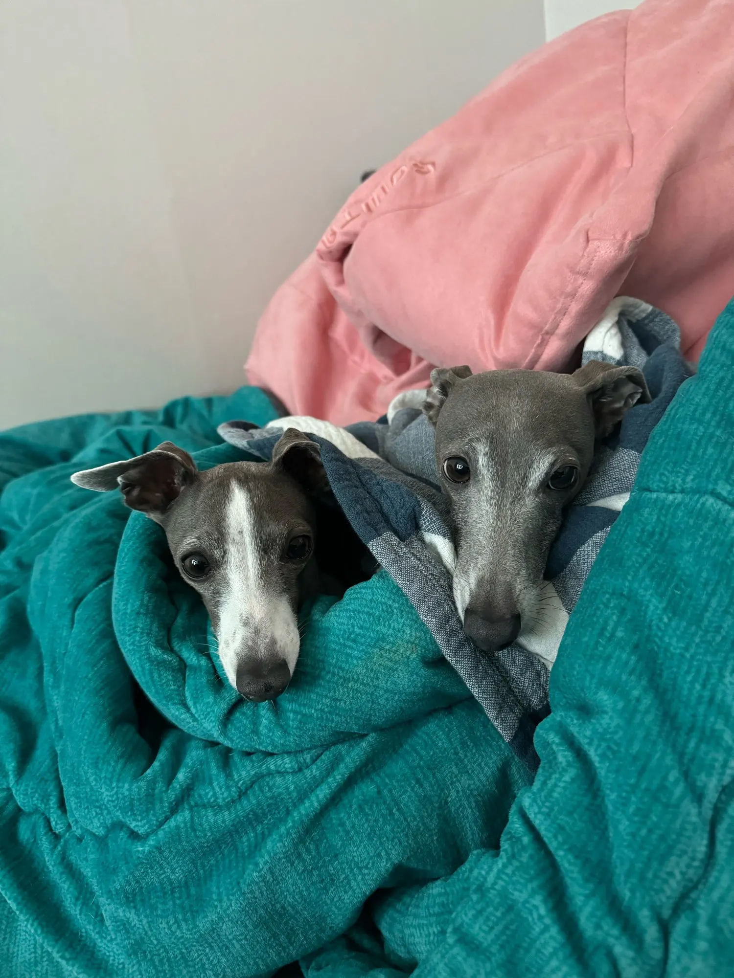 Mini Claw Catch Toy Crane Machine photo review