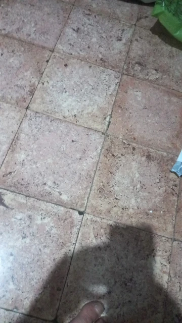 POEDAGAR Luxury Watch For Woman photo review