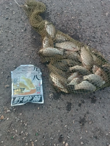 NEW Natural Bait Processed Fishing Food Strong Flavor Groundbait Attractant Additive Scent Feed for Carp Crucian Catfish photo review