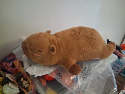 Chonky Sleeping Capybara Plushie photo review