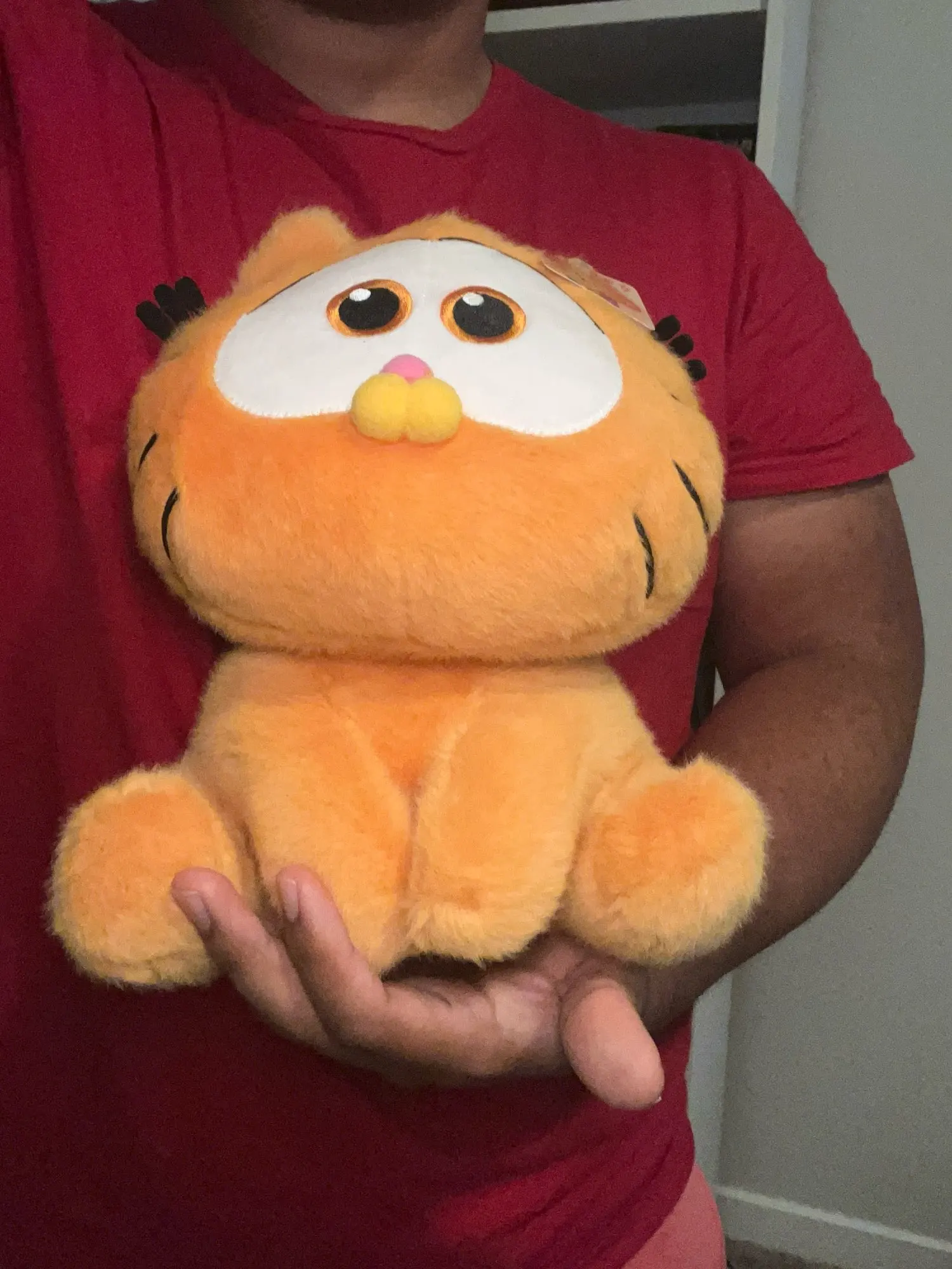 25CM Garfield Plush Doll – Kawaii Cartoon Cat Stuffed Toy for Gifts & Decoration