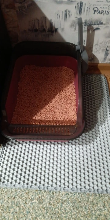 Cat Litter Mat Double Layer Waterproof Urine Proof Trapping Mat Easy to Clean Non-Slip Toilet Pad  Cat Scratch Pad Large Foot Pa photo review