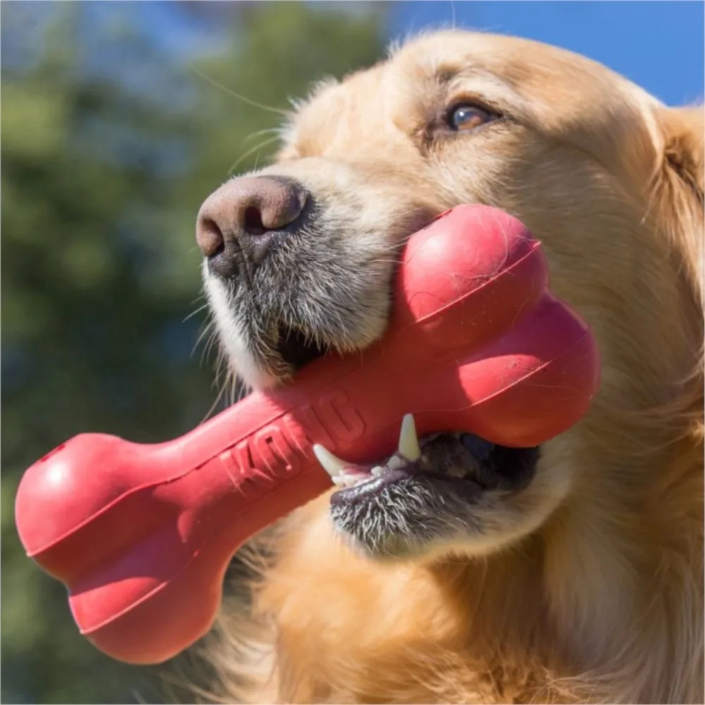 KONG - Goodie Bone - Durable Rubber Chew Bone, Treat Dispensing Dog Toy