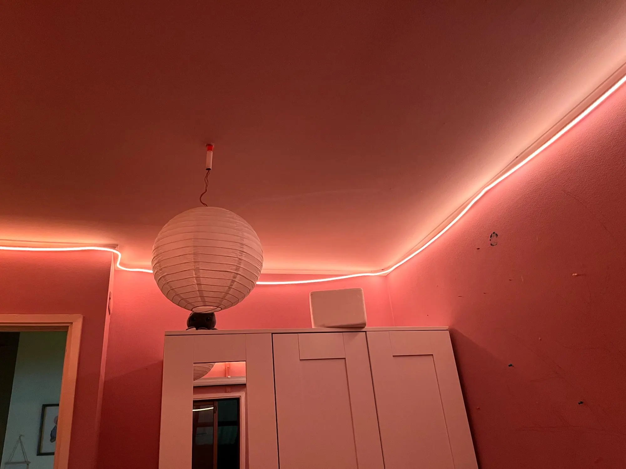 TUYA LED Strip Lights Wifi 12V RGBIC Neon Rope Lights With Music Sync photo review
