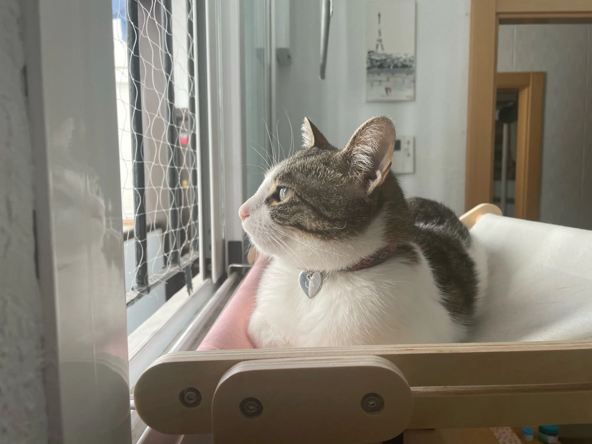 Attachment image review on Androf Cat Bed