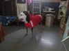 Изображение товара 1