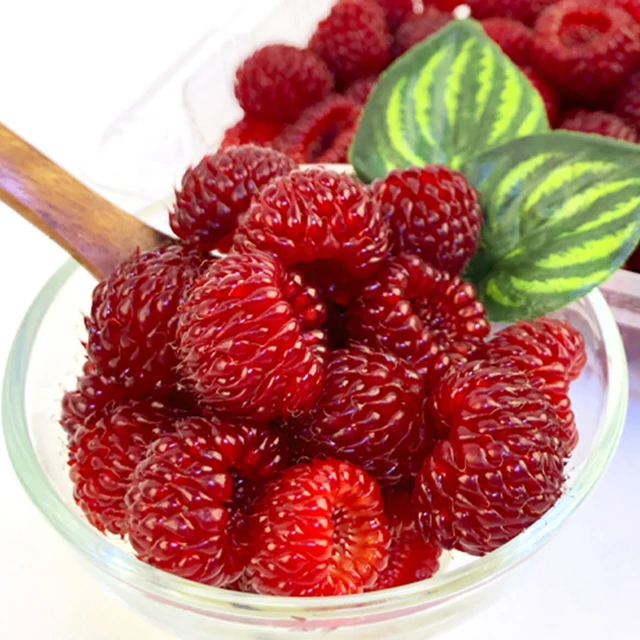 집에서 즐기는 신선하고 맛있는 제철 과일