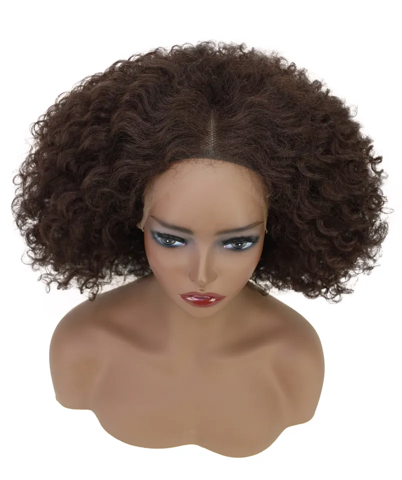 Luxluxe Naomi Curly Long Lace Front Wig
