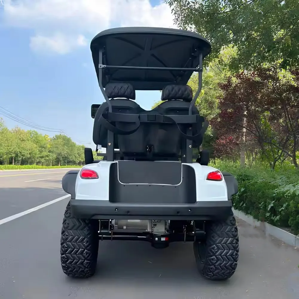 

Dylante 2 4 6 Seats Electric Lifted Golf Cart Hunting Buggy Car 1 Row Golf Cart With Rain Cover