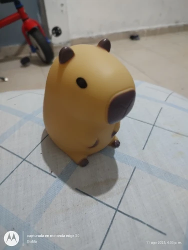 Charming Capybara Night Light for Kids photo review