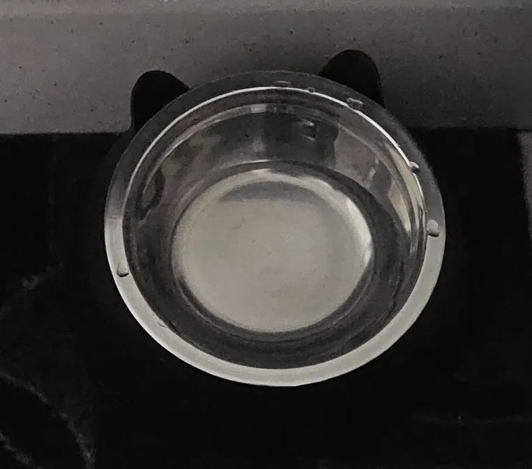Comedero Anti Vuelco De Acero Inoxidable Para Gato