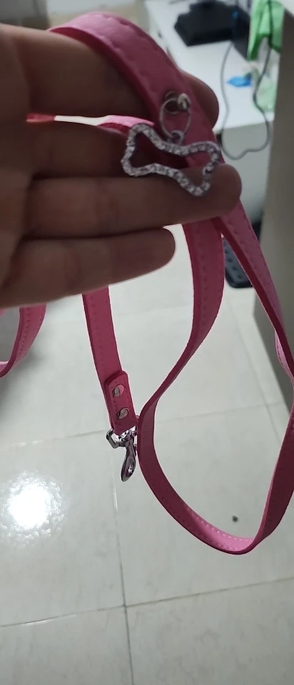 Pink Paws, Soft Suede Leather Leash for Small Dogs and Cats photo review