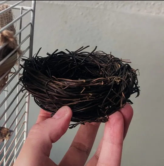 Rustic Roost, Handcrafted Rattan Bird Nest & Egg Decor photo review