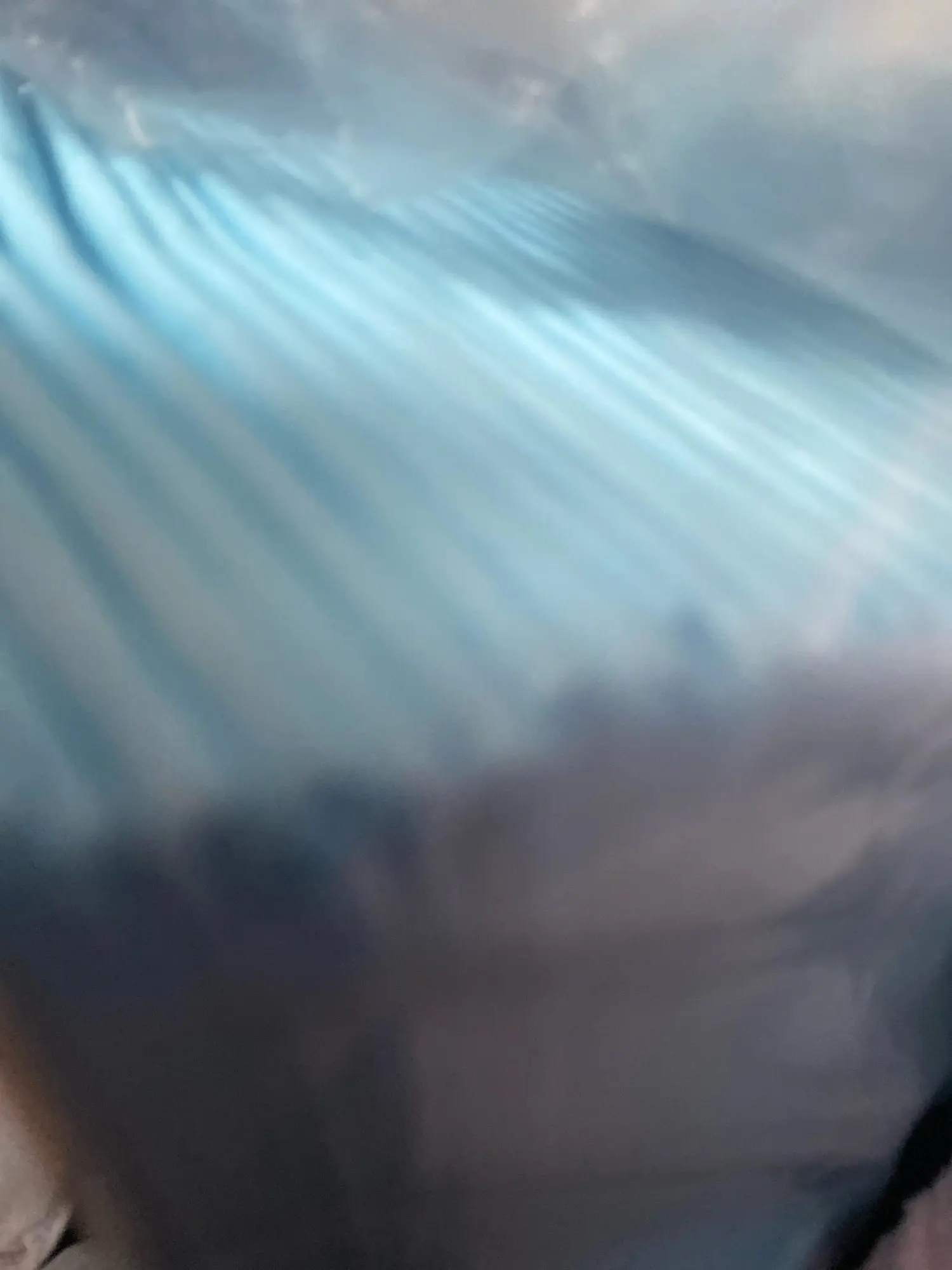 Almohadillas Desechables para Perros | Pañales Absorbentes, Secado Rápido, 100/50/40/20 piezas photo review