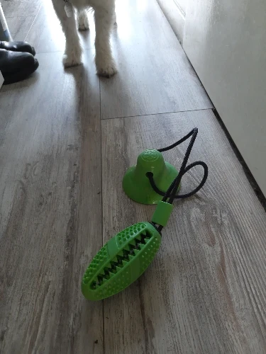 Suction Pup Chew: Interactive Chew Toy for Medium to Large Dogs - Fun & Dental Health in One photo review