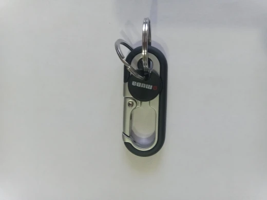 Car Key Chain