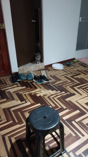 6‑Meal Automatic Feeder – Scheduled Portion Control