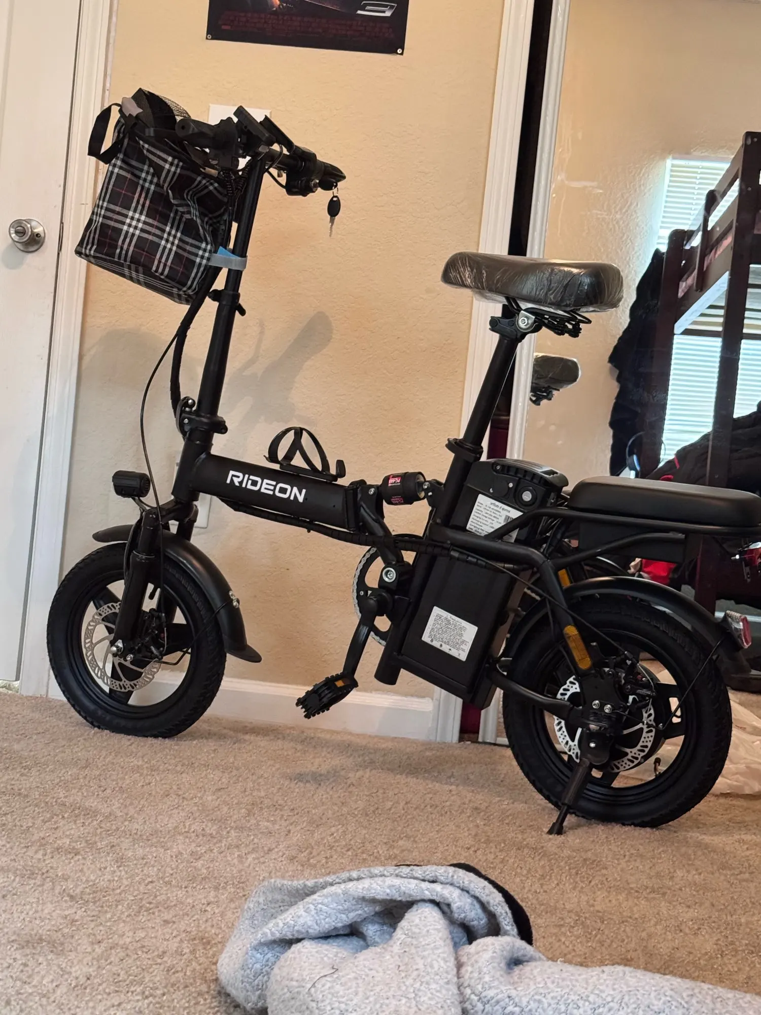 Compact Electric Bike For Adults 600W Peak Motor photo review