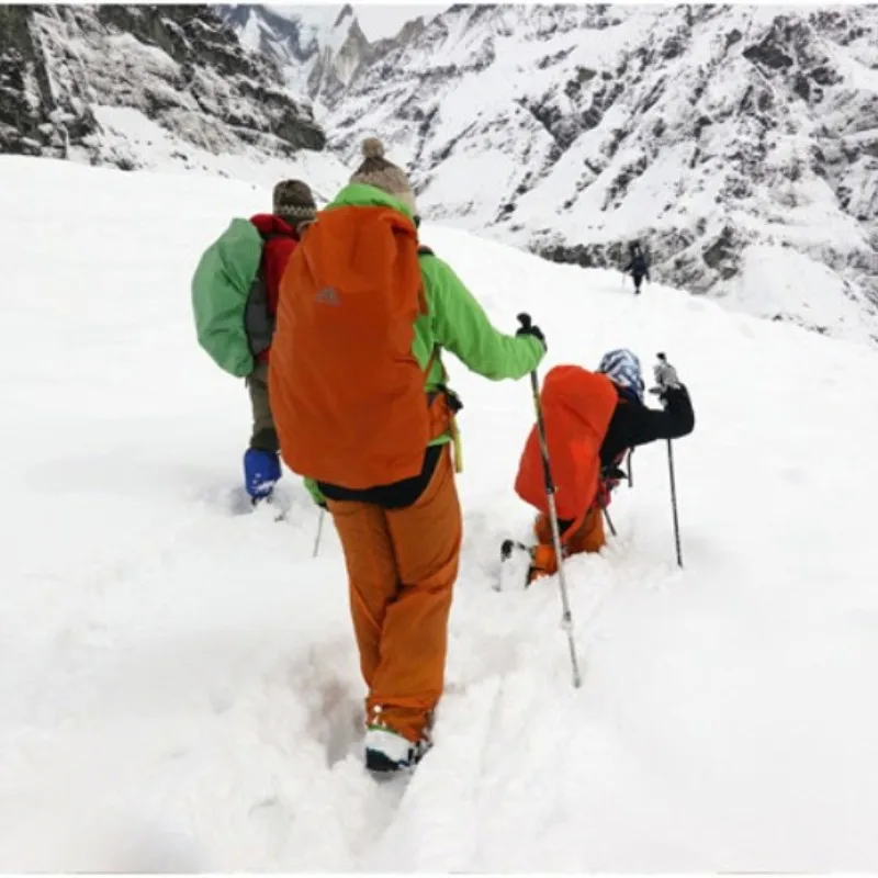 Slide image 2d53c025a10c4a7fb3184673af81505d