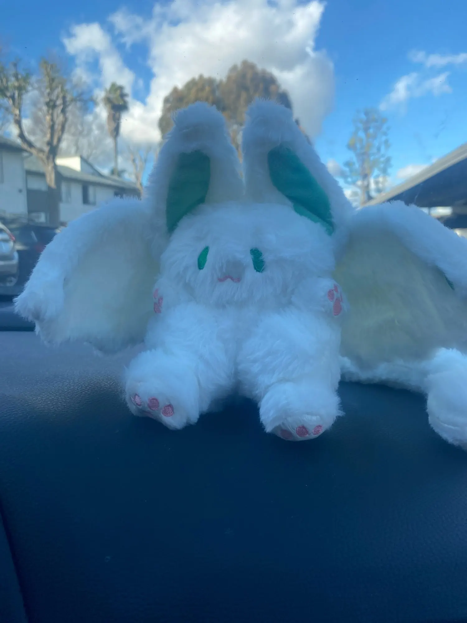 Kawaii Bat Plush Toy, customer photo