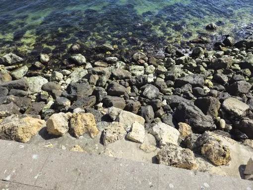 V-Waist Seamless High-Waist Peach Butt Yoga Leggings for Women photo review