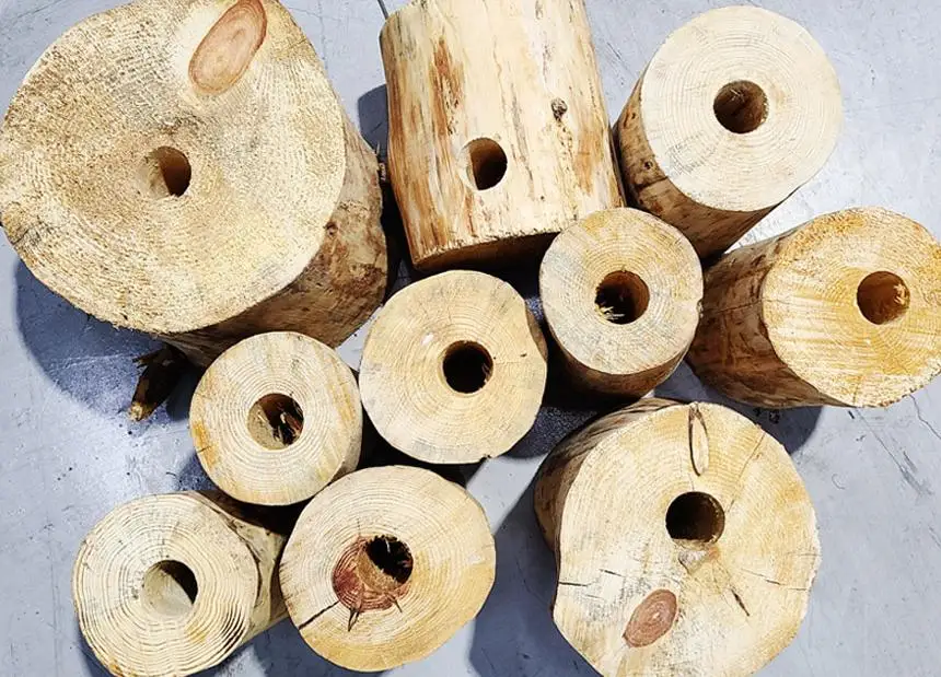다목적 연료 스토브, 캠핑과 불멍을 위한 최적의 선택