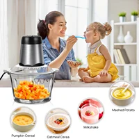 Hachoir Électrique 2L avec Grand Bol en Verre, 2 Vitesses, 300W, Hachoir à Viande Domestique, Robot Culinaire pour Bébé 6