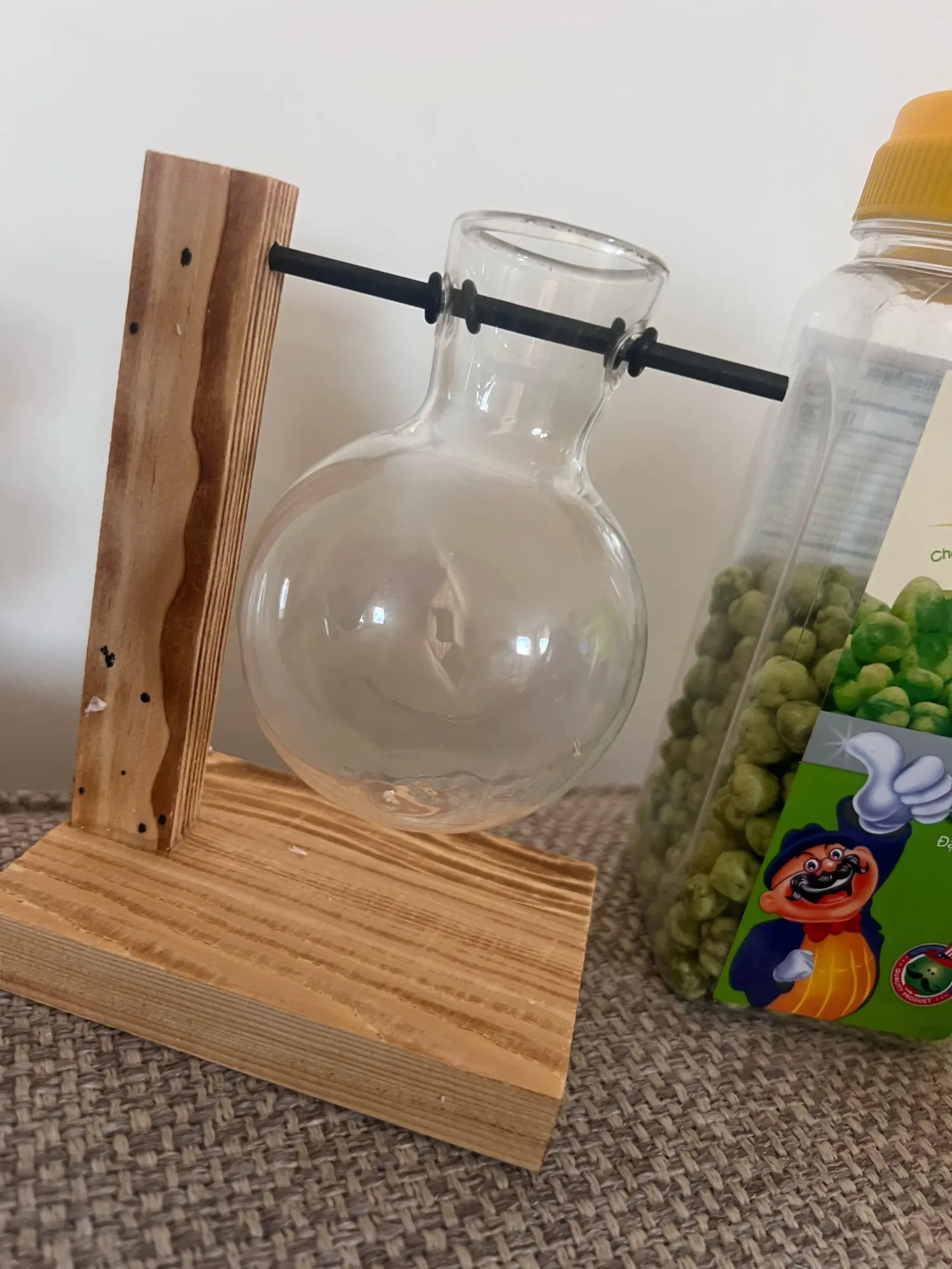 Hydroponic Plant Terrarium Vase photo review