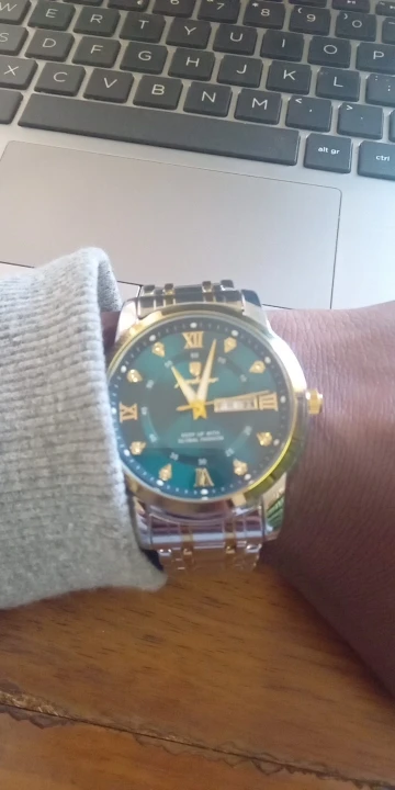 POEDAGAR Luxury Watch for Men photo review