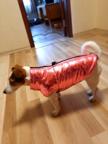 Pawfect Protection: Waterproof Winter Vest for Petite Pups photo review