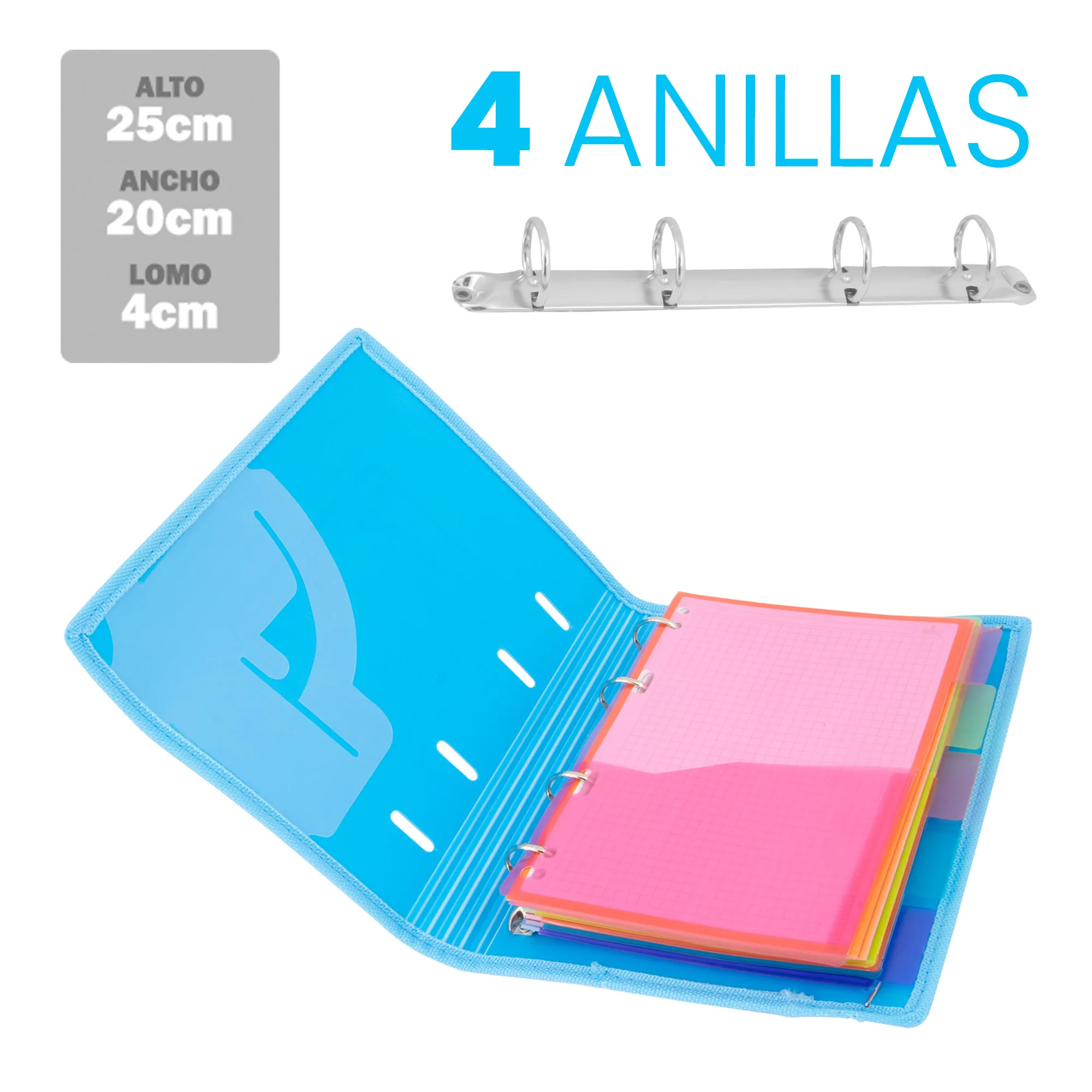 Starplast Pack 30 Separadores Pastel - Para Carpeta o Archivador 2-4 Anillas,  Organizadores, Polipropileno, Índice, Multitaladro, Clasificador, uso  Escolar o de Oficina. : : Oficina y papelería