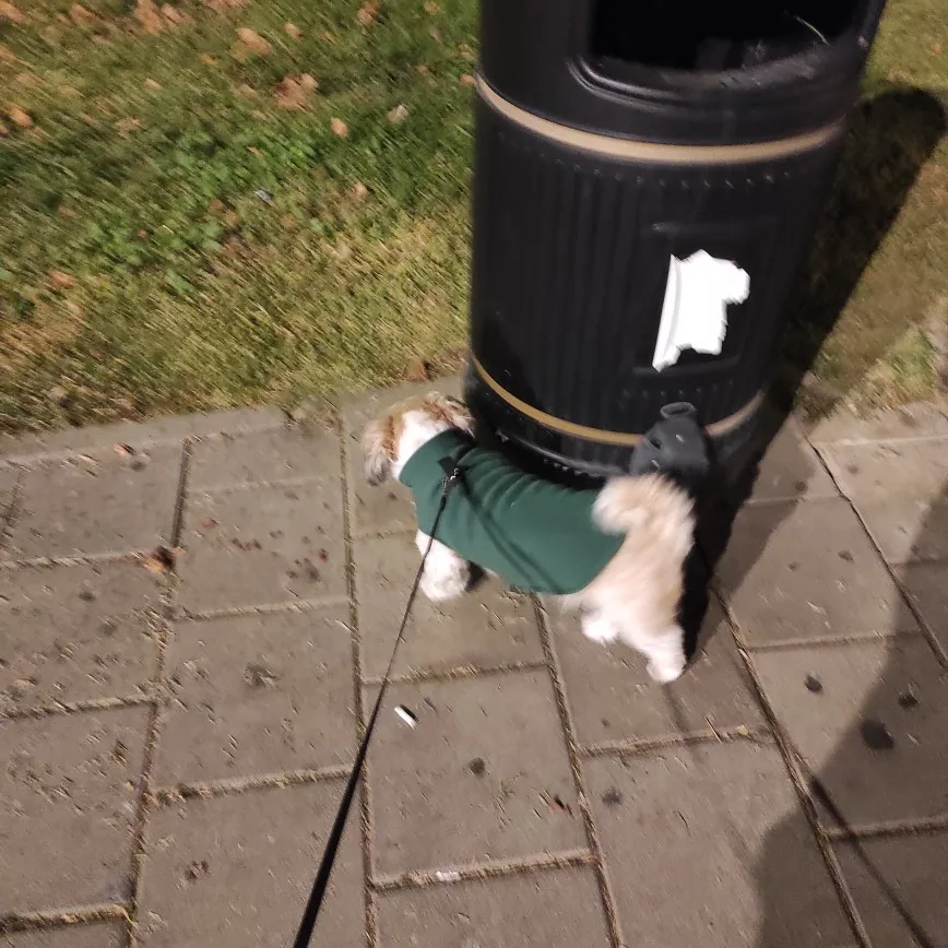 Cozy Canine Cloak: Warm Winter Vest for Small to Medium Dogs photo review