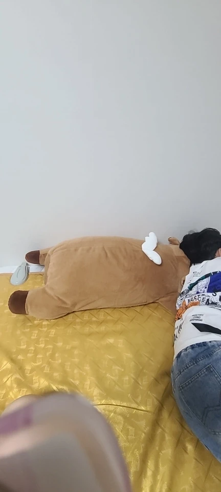 Chonky Sleeping Capybara Plushie photo review