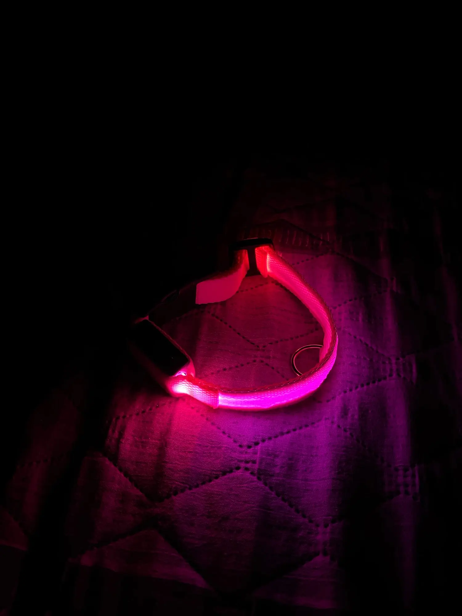 GlowSafe – Leuchtendes Halsband & Leine für maximale Sichtbarkeit bei Nacht photo review