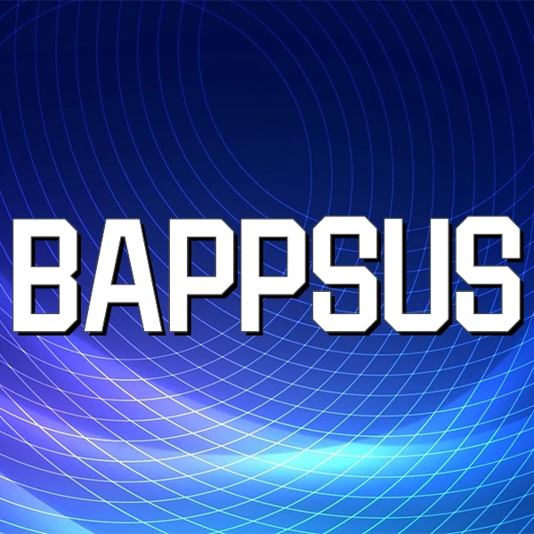 BAPPSUS 3C Wholesale Store