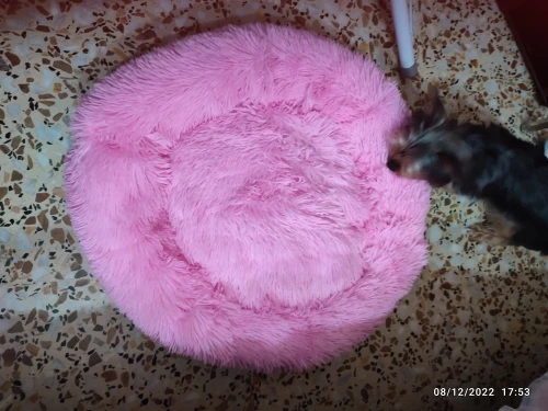 Donut Mand Dog Accessories for Large Dogs Cat's House Plush Pet Bed for Dog XXL Round Mat For Small Medium Animal Calming 100CM photo review