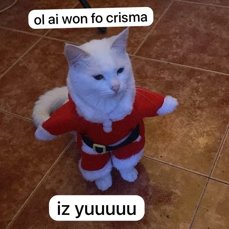 Funny Christmas Santa Claus Costume for Small Cats and Dogs - Get Your Pet in the Holiday Spirit with Festive Winter Outfits photo review