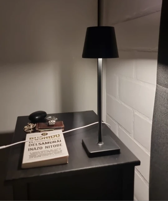 Rechargeable LED Table Lamp Touch Switch 3 Levels Dimmable Desk Lights Bar Club Dinner Creative Decorative Ambient Lighting photo review