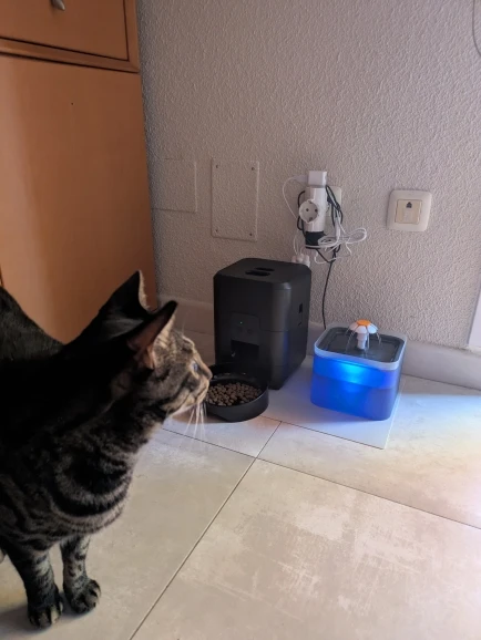 Comedero inteligente para mascotas, alimentador automático para gatos, máquina de comida lenta para perros con dispensador automático de comida para gatos cuantitativo temporizado, tazón para perros y gatos photo review